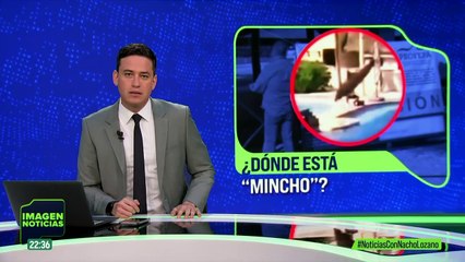 Suspenden el delfinario del Hotel Barceló de la Riviera Maya