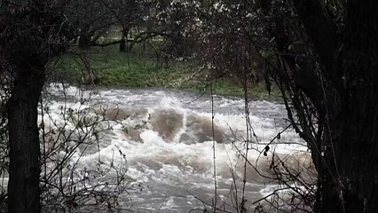 Rivers swell as heavy rain sweeps across Spain