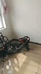 Upstairs Neighbors on a Saturday morning