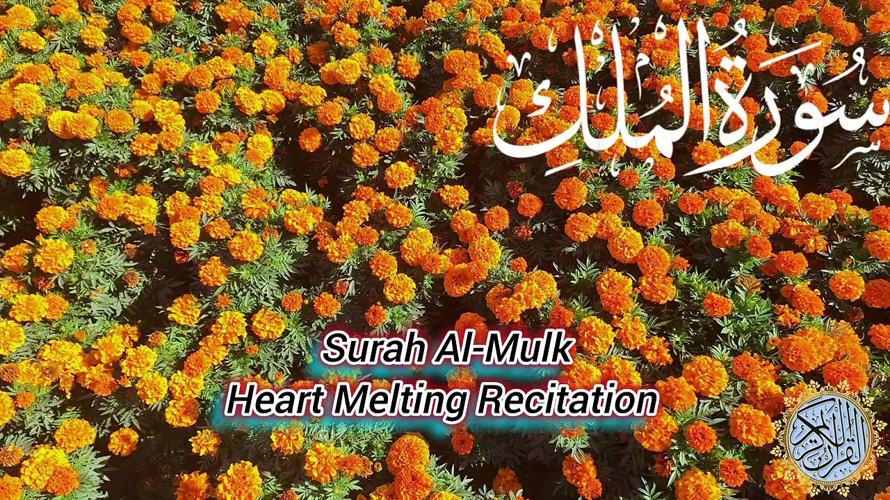 Surah Mulk Recitation in Heart Touching Voice _ Beautiful Tilawat of Surah Al-Mulk _ #allah #quran (1)