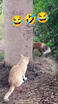 कुत्ते_की_पिटाई 😂🤣😂#animals #monkey #cute #reelitfeelit #reels #ytshorts #realfools #shorts#cat#dog