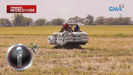 Mga lokal na magsasaka, umaaray sa epekto ng dagsa ng imported rice sa bansa | I-Witness