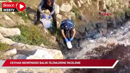Bakanlıktan Ceyhan Nehri'ndeki balık ölümlerine inceleme