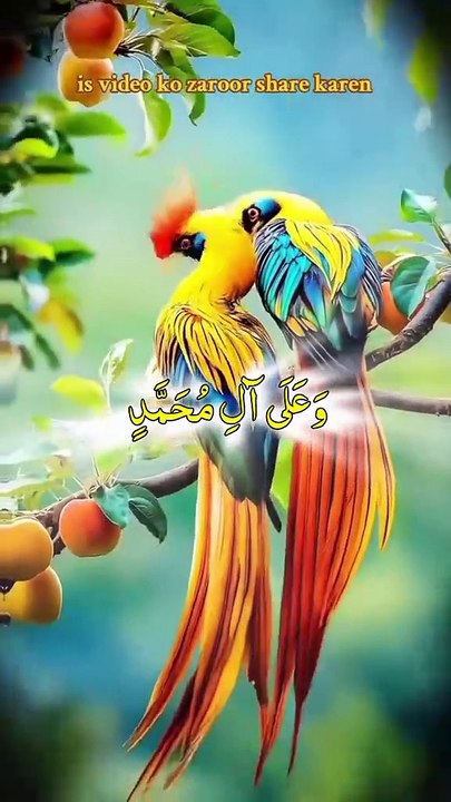 #love#DaroodSharif