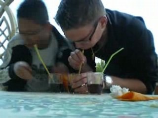 concours coca cola à la paille