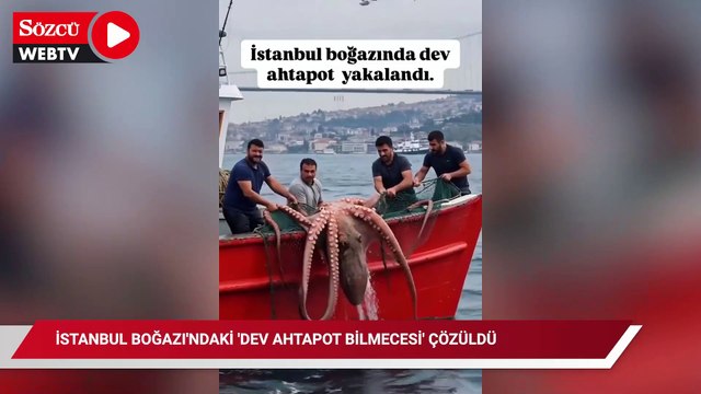 İstanbul Boğazı'ndaki 'dev ahtapot bilmecesi' çözüldü