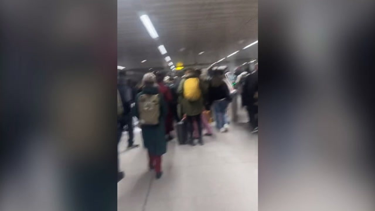 Kings Cross St Pancras closed due to security alert as alarms heard ringing