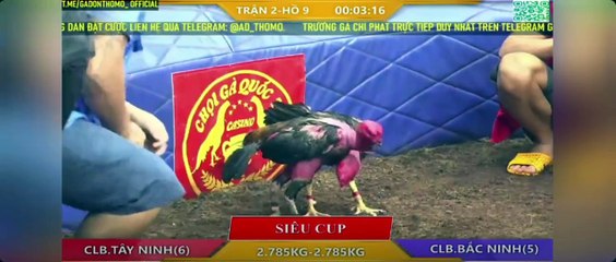 Siêu cúp 2 tỷ Idol Sảnh Tây Ninh - FC Bắc Ninh (Hồ 9)