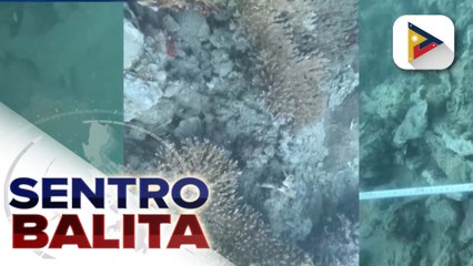Inter-LGU Task Force, target buuin ng LGU ng Cebu City vs. blast fishing