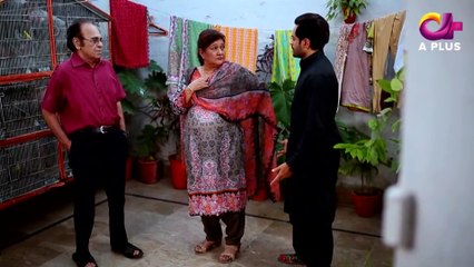 Rishtay Kachay Dhagoon Se - Episode 17 A Plus Entertainment
