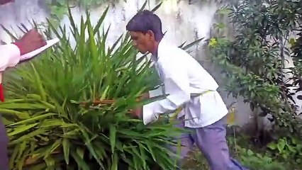 Chup Chup ke Movie Comedy 2 _ Rajpal Yadav Comedy Scene - Spoof _ Mazak Mazak Me