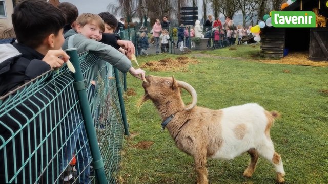 Oscar, le bouc de l’école de Belmont, fête ses 20 ans