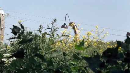 Escena de 'El niño con el pijama de rayas'