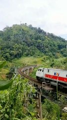 Lihat KAI Kereta Api Serayu di Ciherang