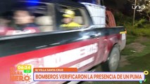 SCZ VECINOS ALERTARON LA PRESENCIA DE UN PUMA