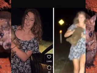 Wildlife experts criticise US influencer for temporarily taking joey wombat from mother