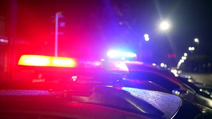 Operação contra ataques a empresas de internet