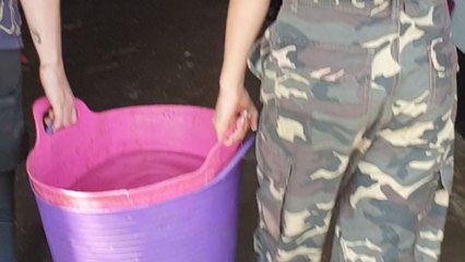 Girl's unexpected reunion with childhood pony is the most beautiful thing you'll watch today