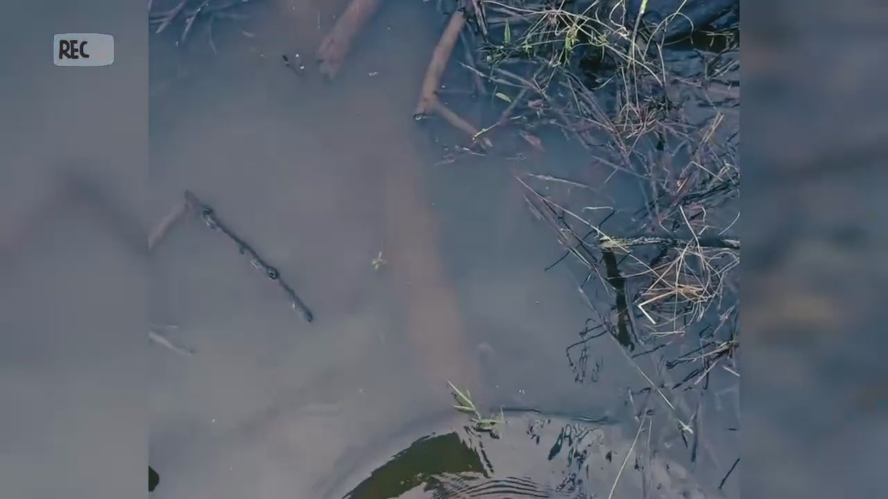 Ketemu Spot Mancing Mantap
