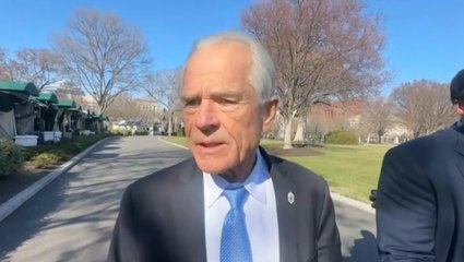 Trump adviser Peter Navarro tells Sky journalist to stop talking ‘crap’