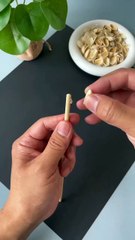 How to Make a Pistachio Shell Flower: Easy DIY Home Decor