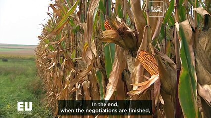 Will new legally binding targets turn the fight against waste around?