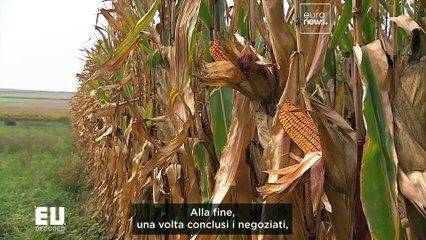 I nuovi obiettivi giuridicamente vincolanti daranno una svolta alla lotta contro i rifiuti?