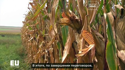 Способны ли новые юридически обязательные цели переломить ход борьбы с отходами?