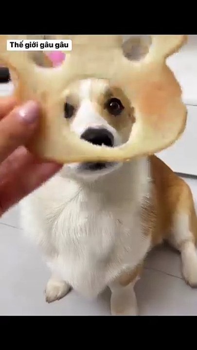 Cute