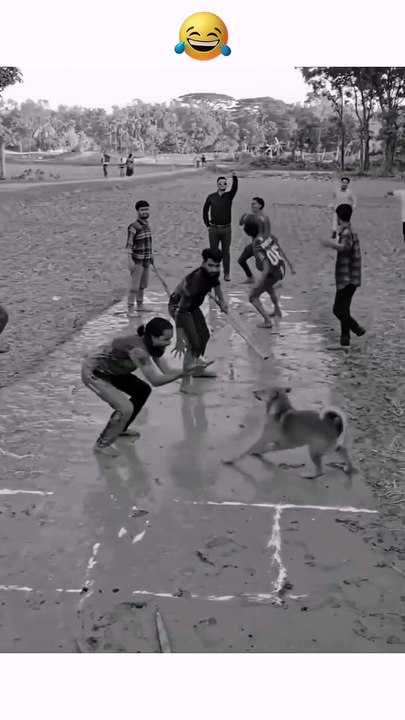 😅😂
