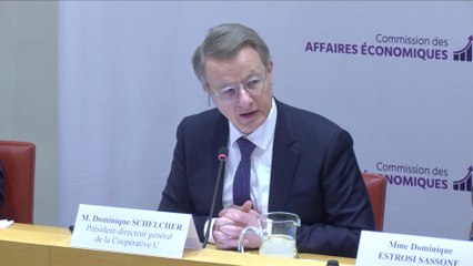 « Les Français n’ont pas encore digéré l’importante poussée inflationniste » selon D.Schelcher