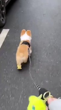 Practice wearing sandals for her since she was little so she can do that 😋