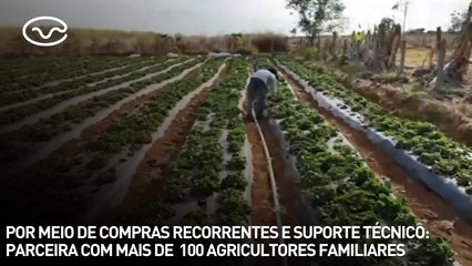 Por meio de compras recorrentes e suporte técnico: parceira com mais de  100 agricultores familiares