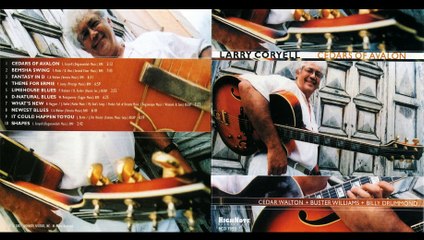LARRY CORYELL...01 - Cadars of Avalon
