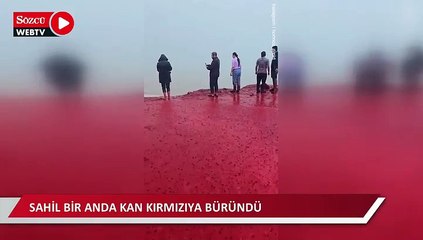 Sahil bir anda kan kırmızıya büründü