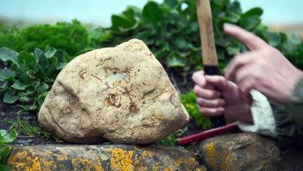 Attenborough and the Giant Sea Monster