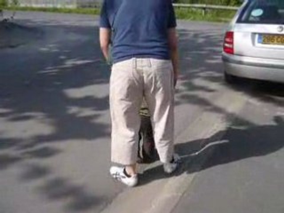 Onvasepromener
