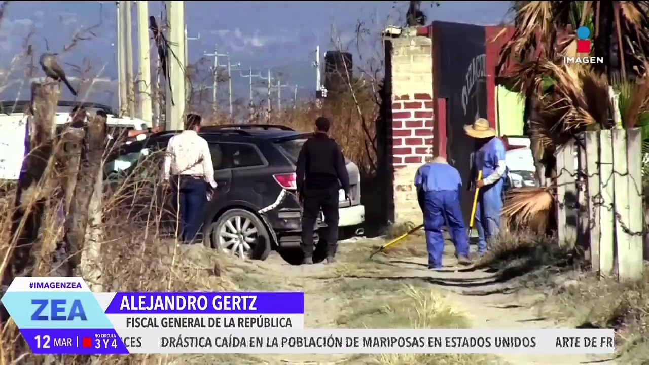 Autoridades "se echan la bolita" por el campo de exterminio en Teuchitlán, Jalisco