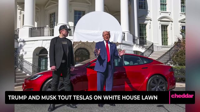 Trump and Musk Tout Tesla’s on White House Lawn