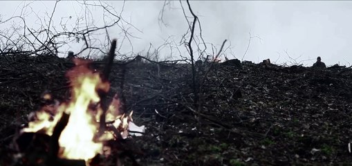 Dear Elza/Drága Elza! (2014)  Füle Zoltán , Barbalics Péter