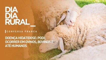 Doença hidatidose: pode ocorrer em ovinos, bovinos e até humanos
