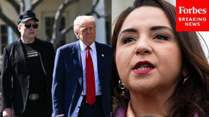 Delia Ramirez Slams GOP For 'Willingly' Yielding Power To Their 'Lord And Savior' Trump And Musk
