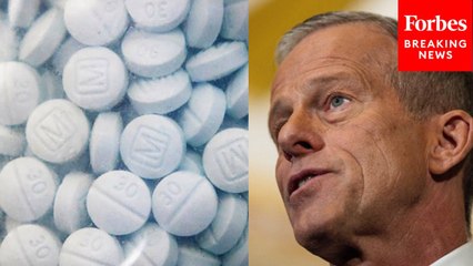 John Thune Decries Fentanyl Crisis, Touts Bipartisan HALT Act To Permanently Classify Analogs