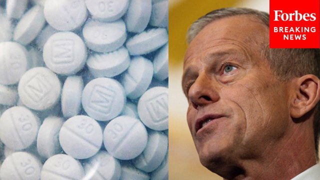 John Thune Decries Fentanyl Crisis, Touts Bipartisan HALT Act To Permanently Classify Analogs