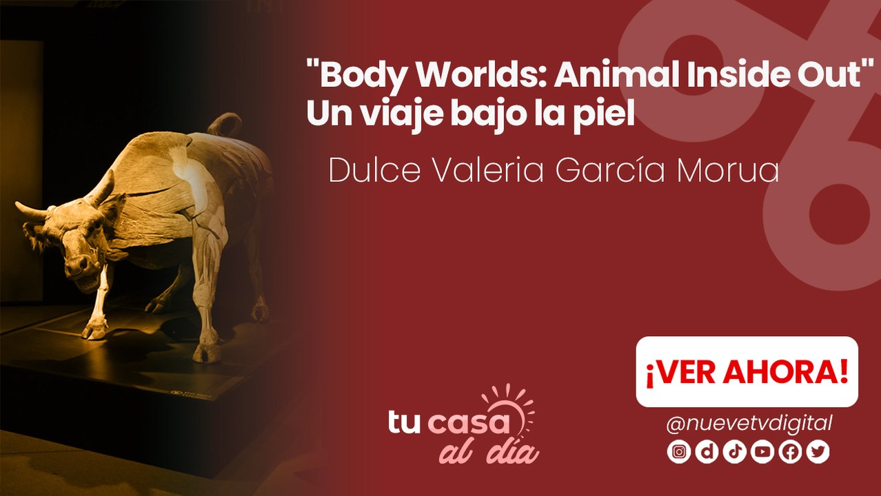💪 ¿Sabrías cómo reaccionar en una situación de peligro? Cesar Uriel Hernández y Emilio Boehringer nos comparten los conceptos básicos de defensa personal, desde técnicas simples hasta consejos clave para actuar con seguridad. 🥊✨ 📌 La mejor defensa es e