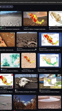 Ola de calor y sequía extrema | Reporte Indigo