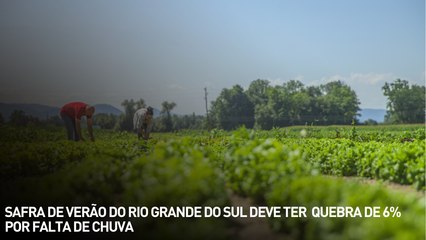 Safra de verão do Rio Grande do Sul deve ter  quebra de 6% por falta de chuva