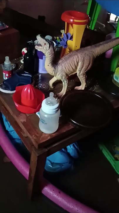 El ex Mambrú Milton Amadeo mostró cómo quedó su casa tras la inundación de Bahía Blanca