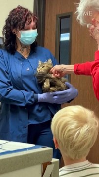 California Woman is Reunited with Beloved Cat 2 Months after Wildfire Destroyed Home [VERTICAL]