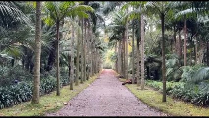 Viaggio alle Azzorre, le Hawaii d'Europa a due ore da Lisbona